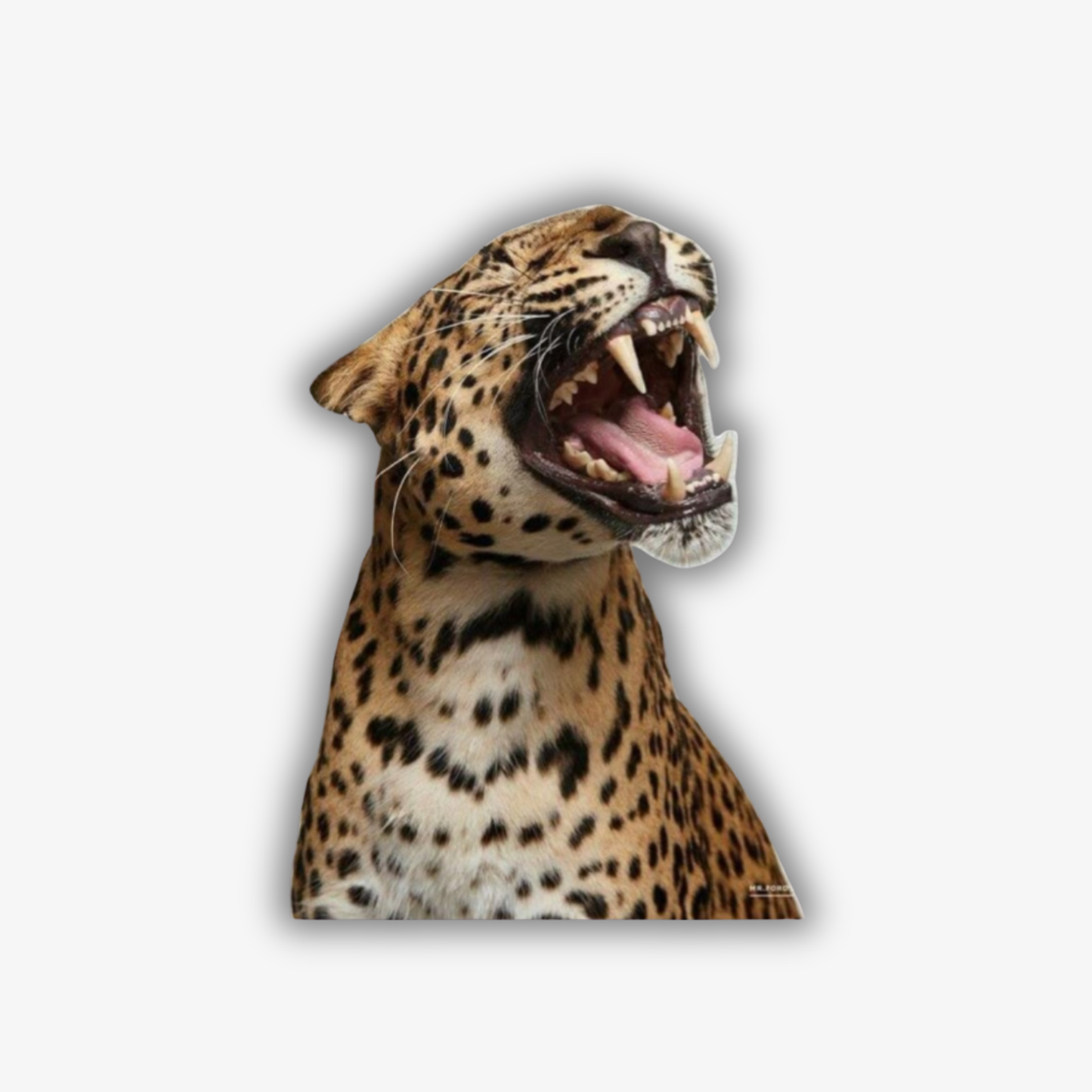 🐆 Roaring Leopard