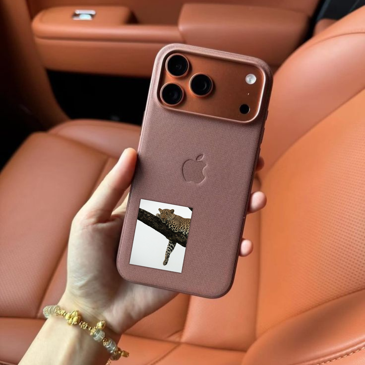 🌿 Resting Leopard