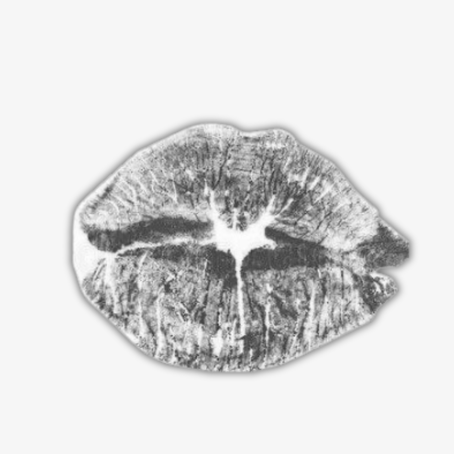💋 Noir Kiss