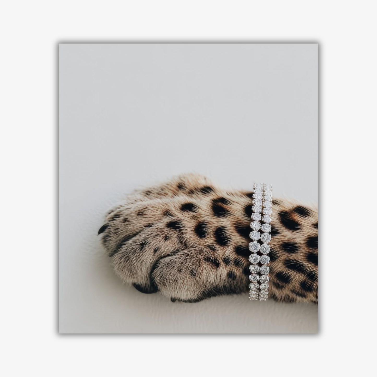 💎 Leopard Paw