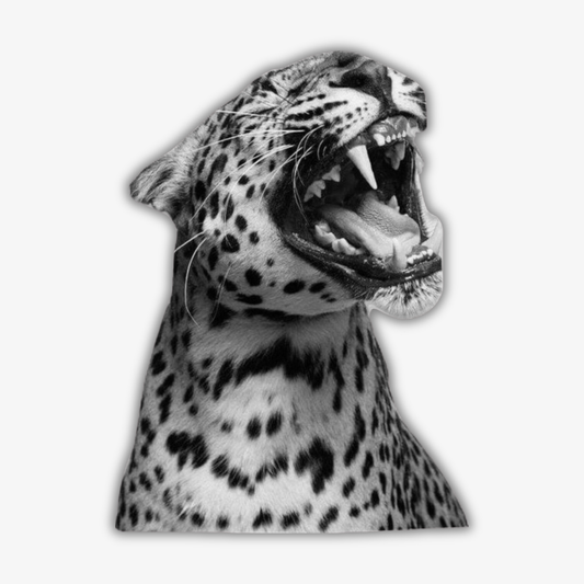 🐆 Black Leopard