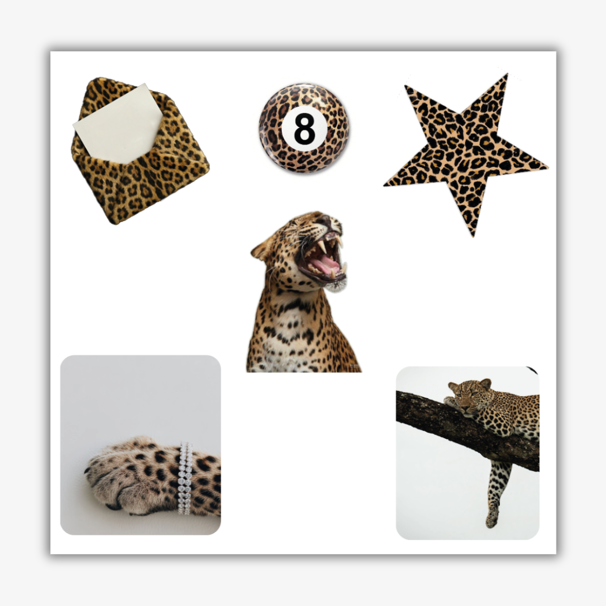 🐆 Wild Leopard Pack