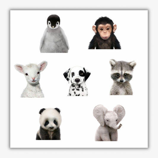 🐼 Cute Baby Animals Pack